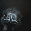 Emu; Acryl auf Leinwand;
77 x 77 cm;
verkauft
