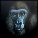 Gorilla; Acryl auf Leinwand;
120 x 120 cm