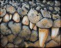 Krokodilzähne; Acryl auf Leinwand;
100 x 80 cm
