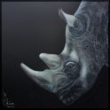 Nashorn; Acryl auf Leinwand;
120 x 120 cm