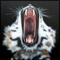 Tiger; Acryl auf Leinwand;
120 x 120 cm
