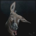Wildesel; Acryl auf Leinwand;
120 x 120 cm