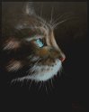Wildkatze; Acryl auf Leinwand;
80 x 100 cm
